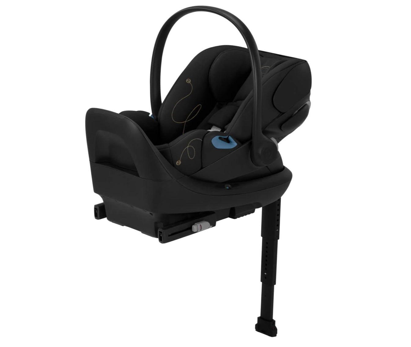 Selected Variant Image